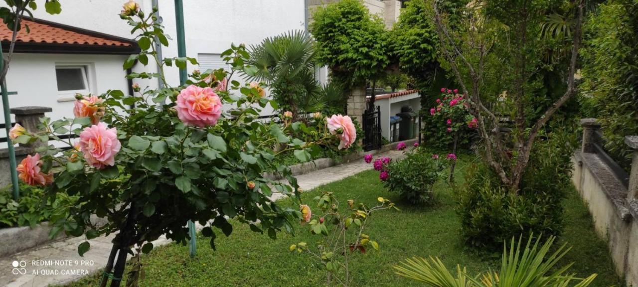 Apartment Jozefina Poreč Buitenkant foto